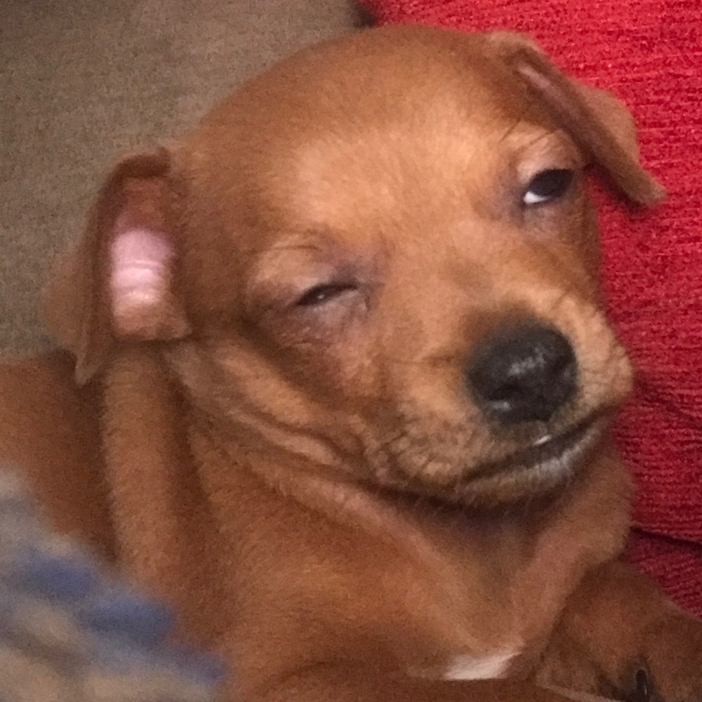 Meet your Posher, Sarah